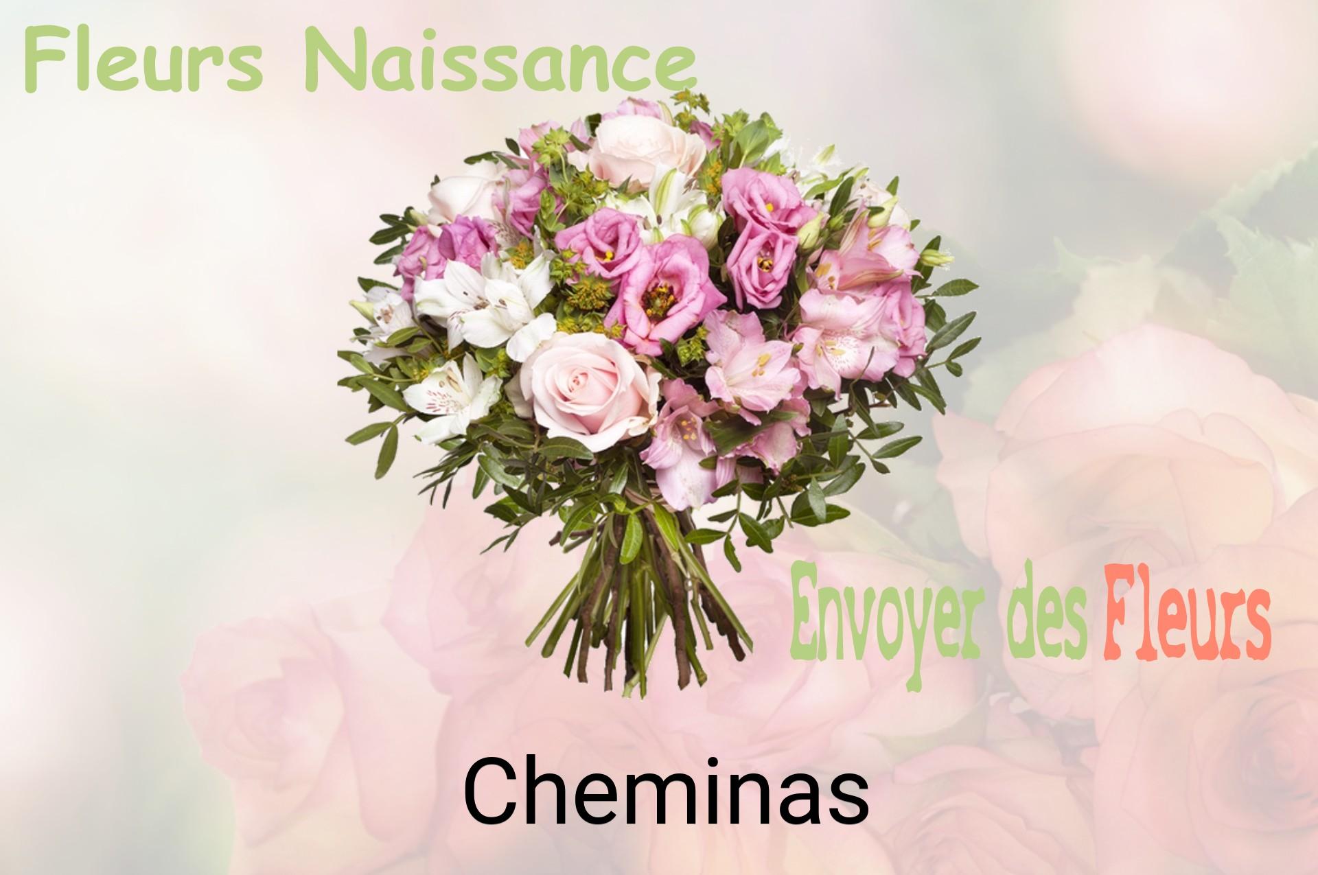 Bouquet de fleurs de naissance livré à Cheminas